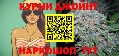 шишки Кимры