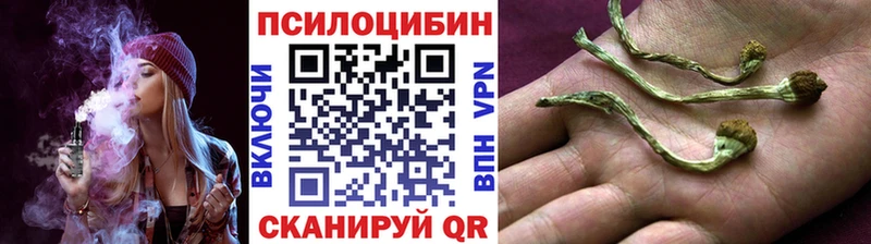 где купить наркотик Кыштым Галлюциногенные грибы Magic Shrooms