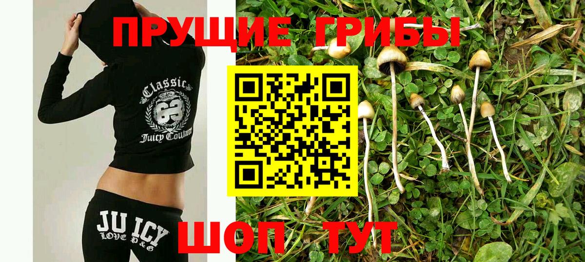 Псилоцибиновые грибы Cubensis  Вход с VPN  Кыштым  Галлюциногенные грибы MAGIC MUSHROOMS 